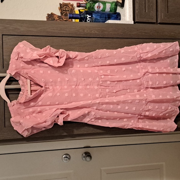 ♥️Last one New pretty pink swiss dot dress - Picture 12 of 13